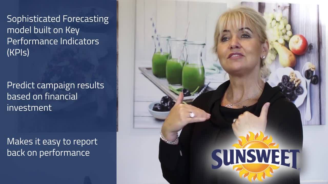 WSI Digital Marketing Agency